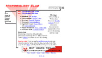 Web Design for Microbiology Club